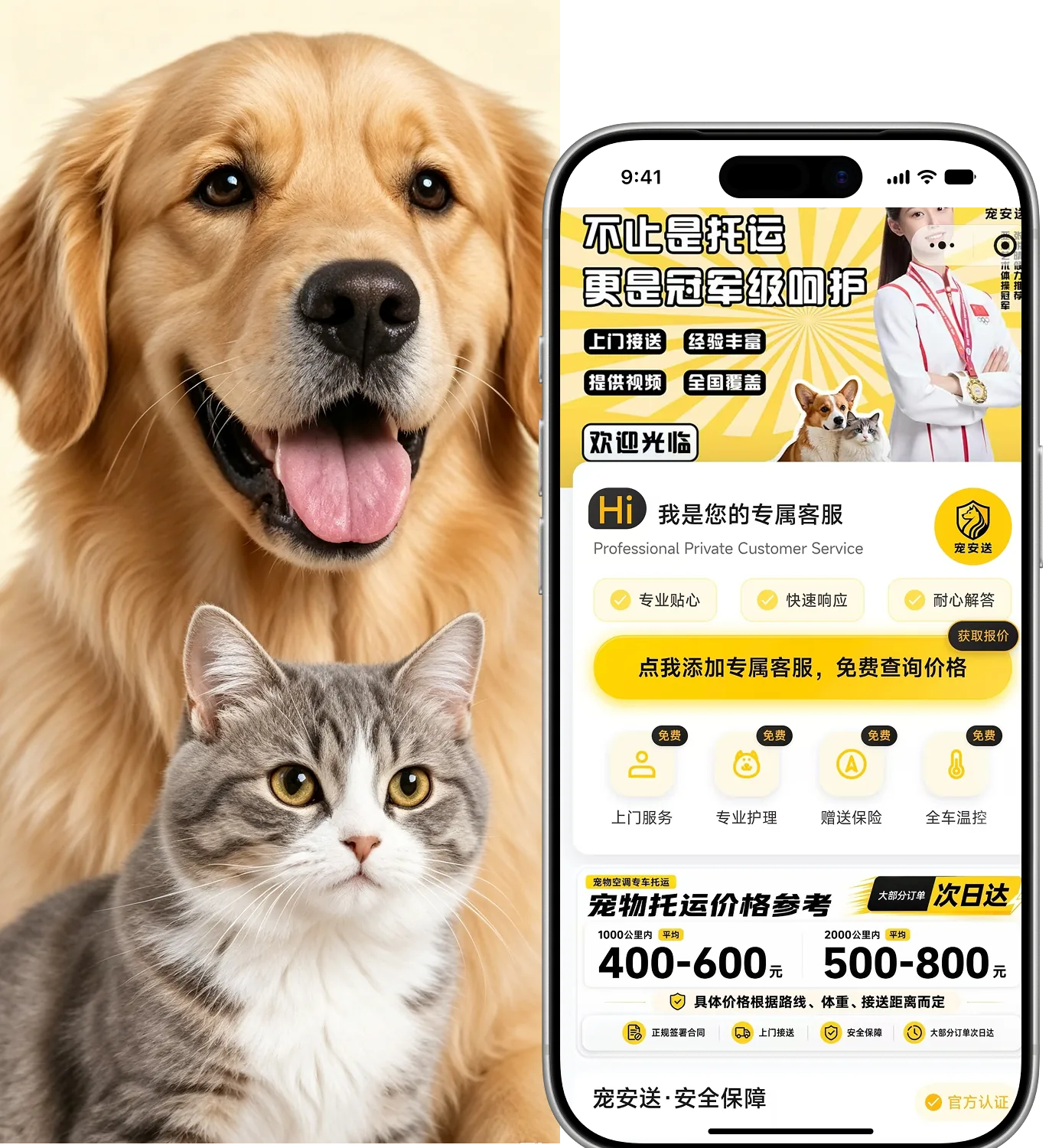 宠安送APP界面与金毛、猫咪